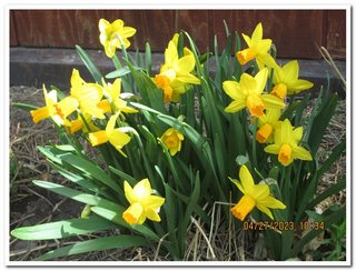 Spring time at Oasis Montana Renewable Energy Systems & Design