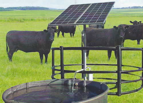solar livestock watering from Oasis Montana Inc.